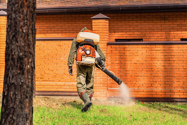 Top rated local Bed Bug Control specialists in Barling, AR